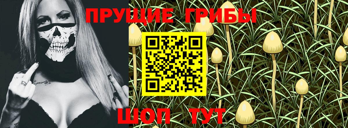 Псилоцибиновые грибы Psilocybine cubensis  Псилоцибиновые грибы мицелий  Армавир  Вход с VPN 